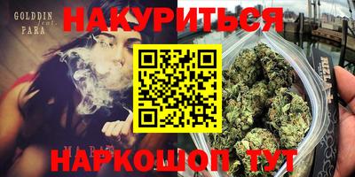 прущие грибы Кингисепп