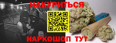 прущие грибы Кингисепп