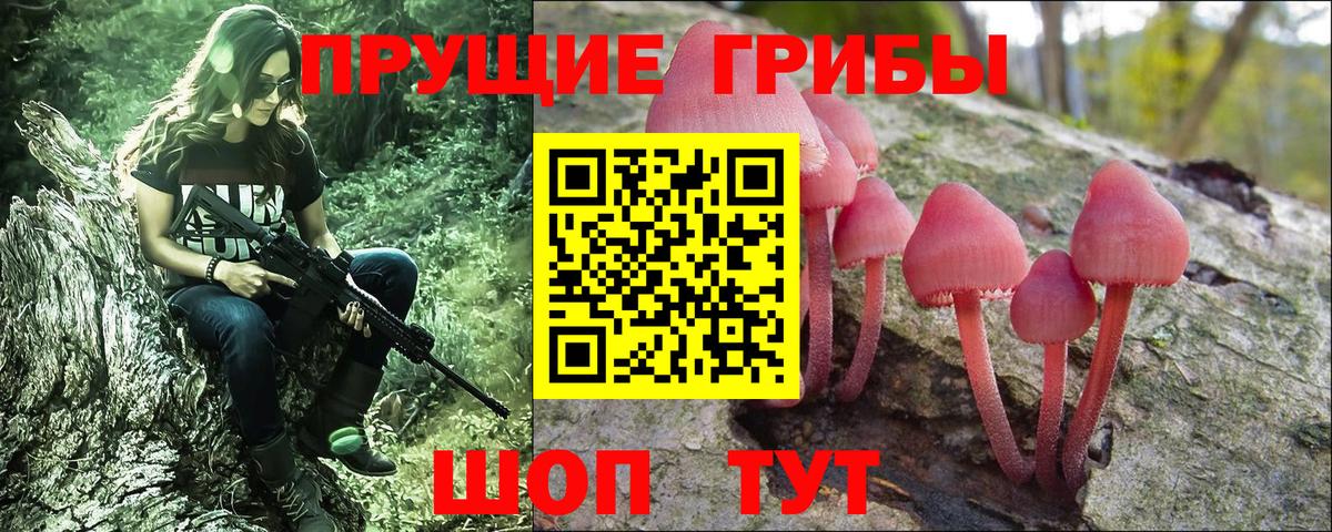 Псилоцибиновые грибы мицелий Краснознаменск